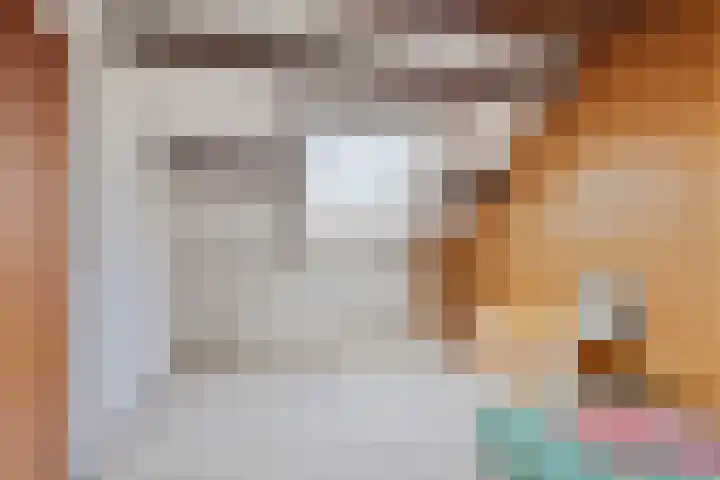 de Beuk 95 Didam thumbnail 25