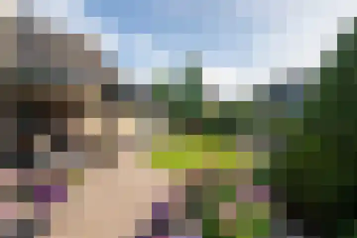 de Beuk 95 Didam thumbnail 26