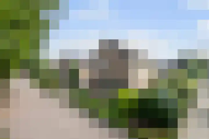 de Beuk 95 Didam thumbnail 32