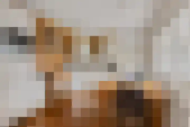 de Beuk 95 Didam thumbnail 8