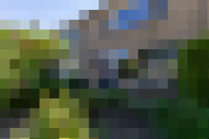 De Beuken 12 Zevenaar thumbnail 10