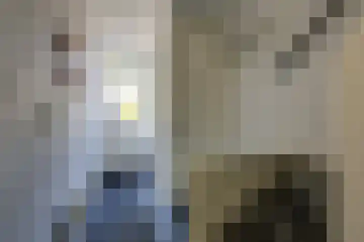 De Beuken 12 Zevenaar thumbnail 11
