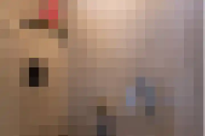 De Beuken 12 Zevenaar thumbnail 12