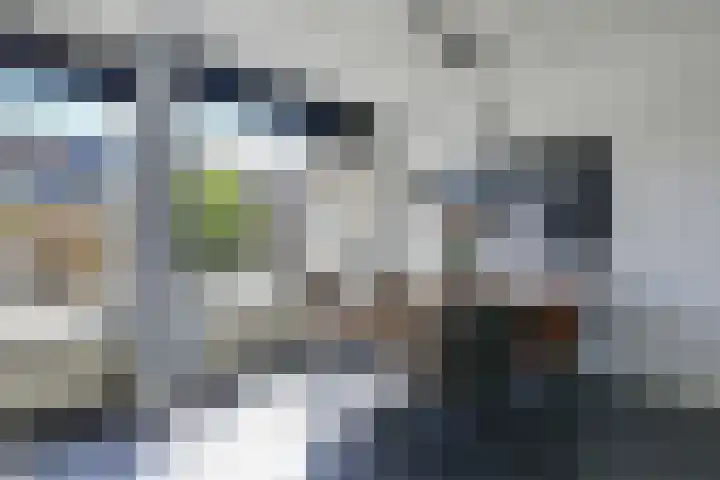 De Beuken 12 Zevenaar thumbnail 21