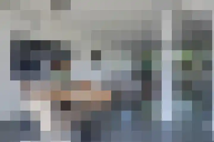 De Beuken 12 Zevenaar thumbnail 22