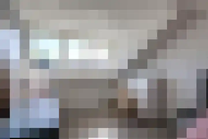 De Beuken 12 Zevenaar thumbnail 47