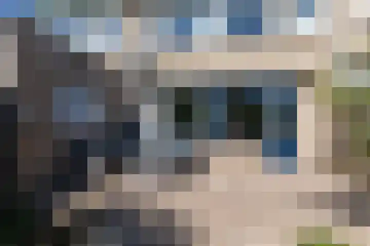 De Beuken 12 Zevenaar thumbnail 51