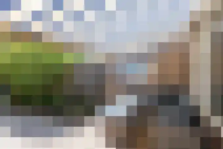 De Beuken 12 Zevenaar thumbnail 52