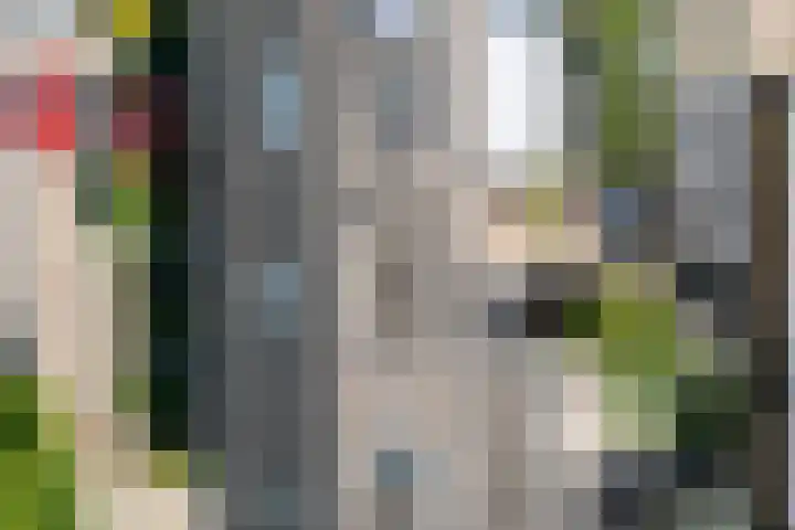 De Beuken 12 Zevenaar thumbnail 60