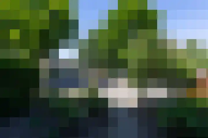 De Beuken 12 Zevenaar thumbnail 9