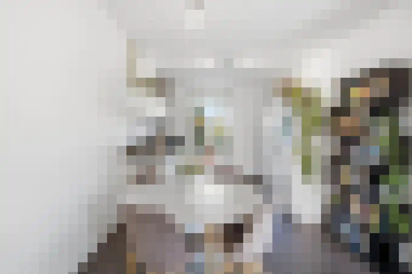 De Beuken 4 Wanroij thumbnail 10