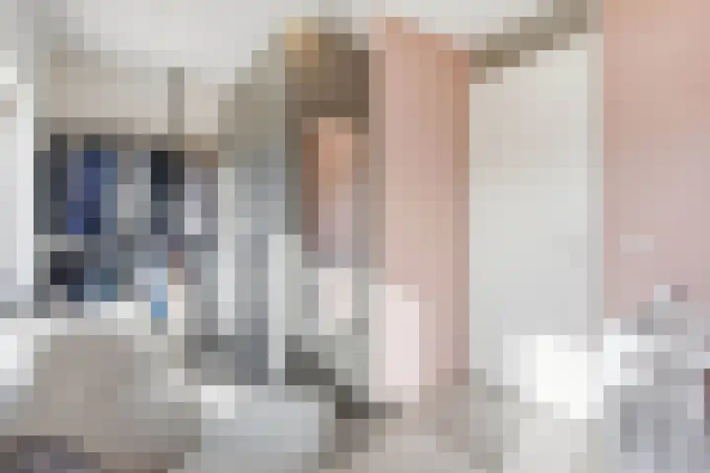 De Beuken 4 Wanroij thumbnail 18