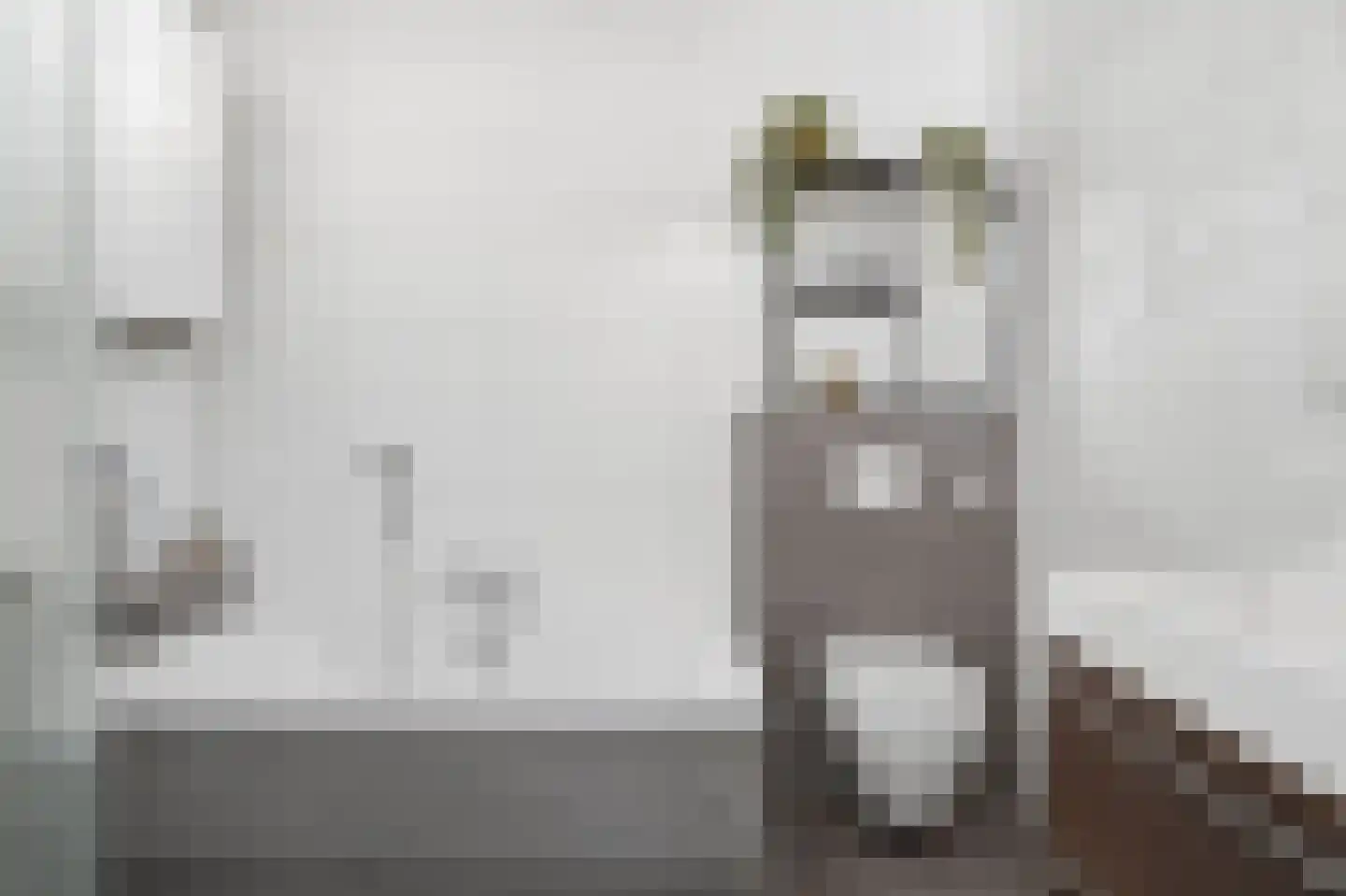 De Beuken 4 Wanroij thumbnail 19