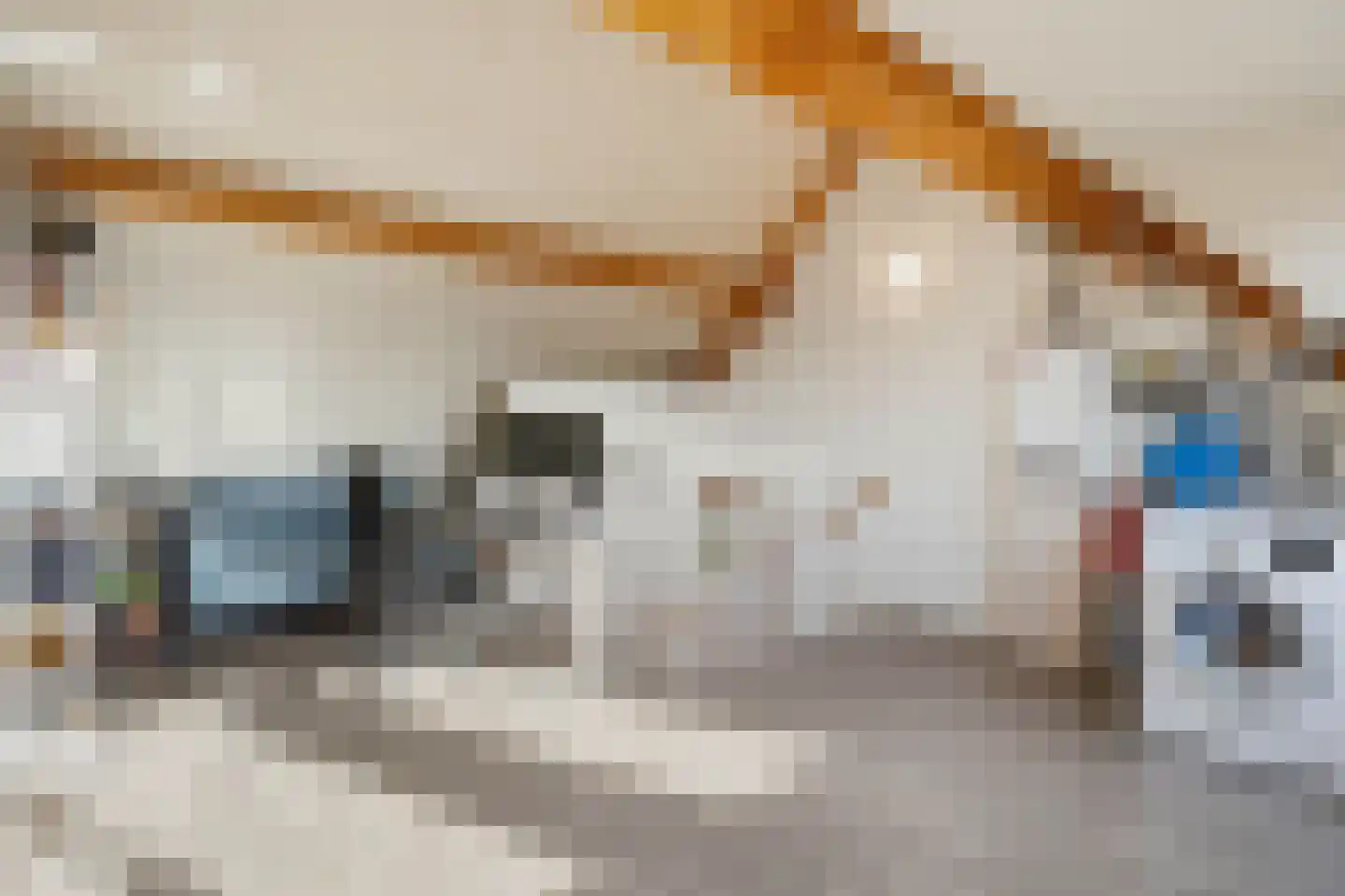 De Beuken 4 Wanroij thumbnail 23
