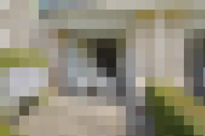 de Beukenhof 26 Raalte thumbnail 10