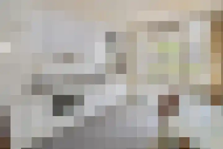 de Beukenhof 26 Raalte thumbnail 13