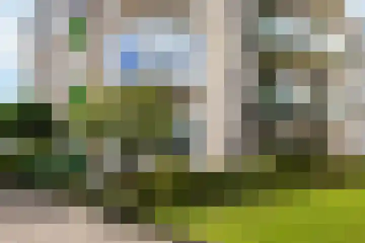 de Beukenhof 26 Raalte thumbnail 28