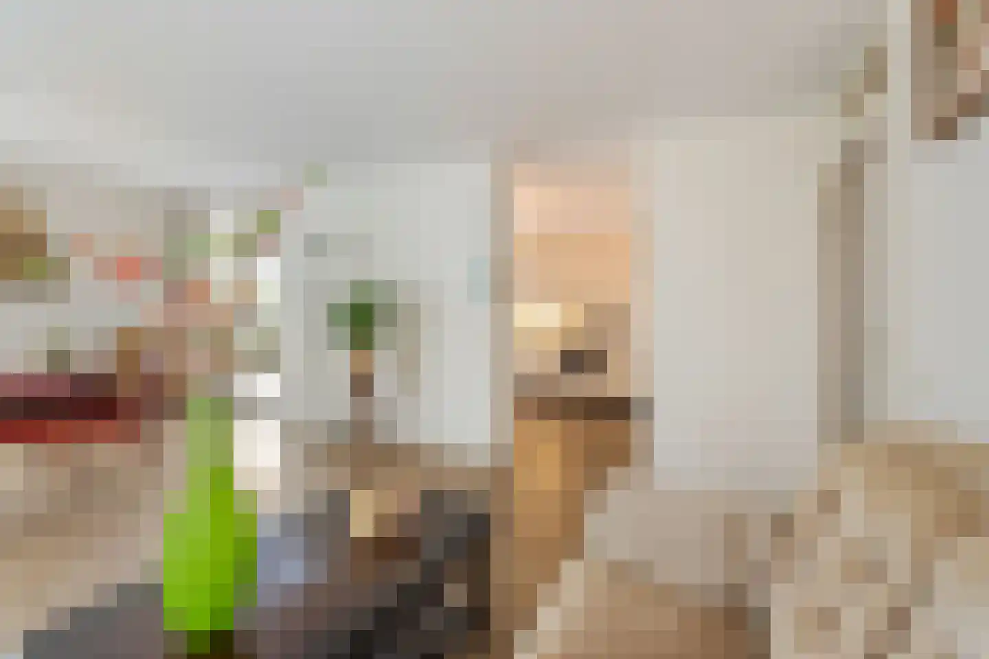 de Beukenhof 3 Raalte thumbnail 15