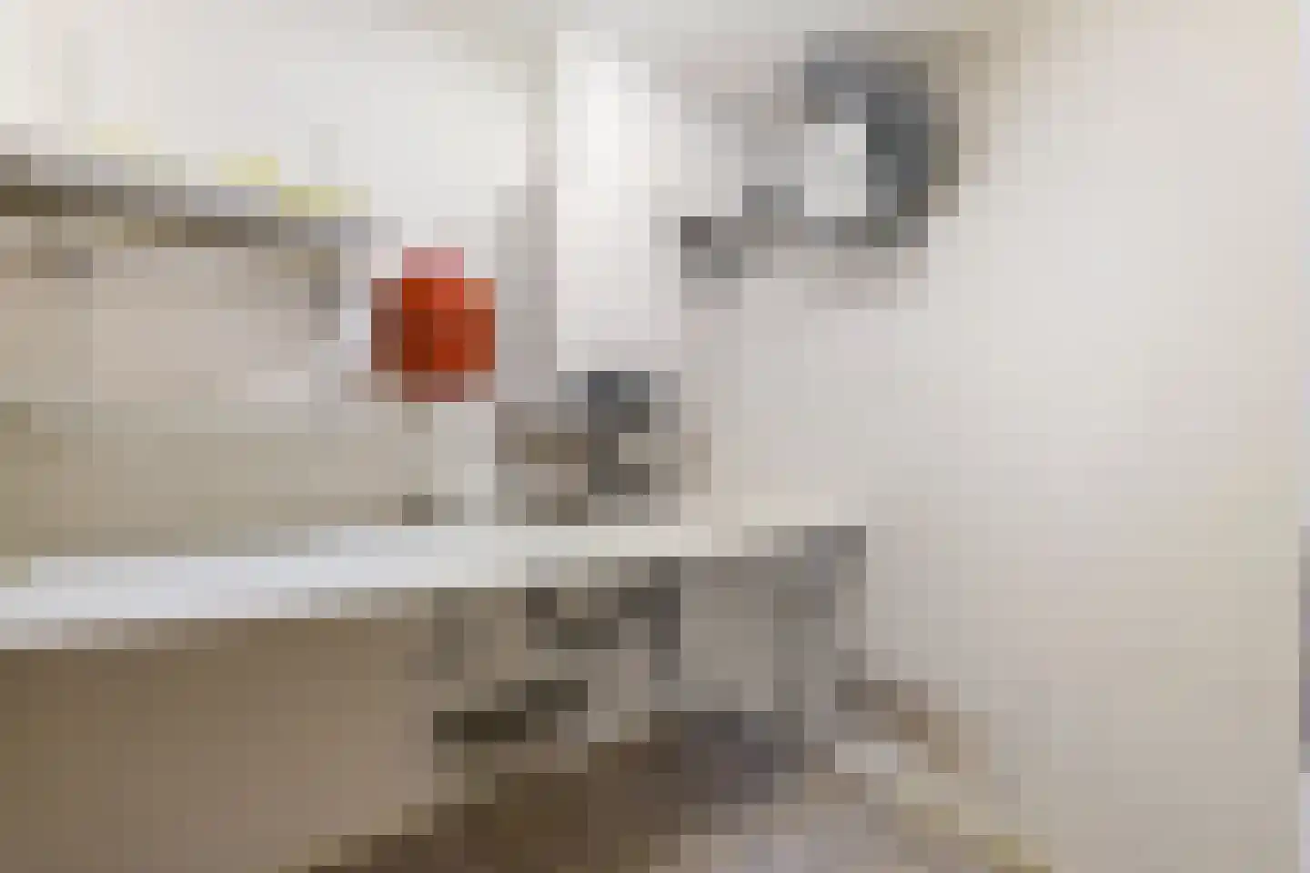 de Beukenhof 3 Raalte thumbnail 29