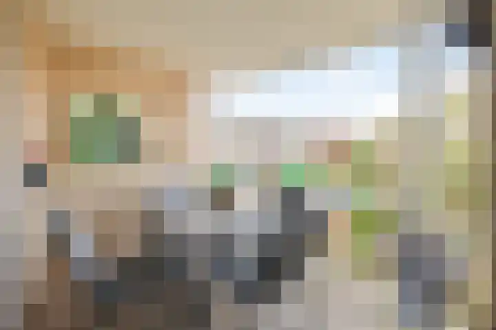 de Beukenhof 34 Raalte thumbnail 10
