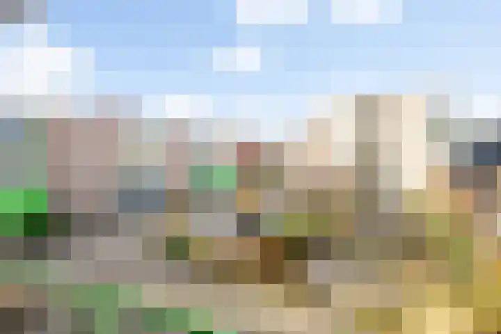 de Beukenhof 34 Raalte thumbnail 11