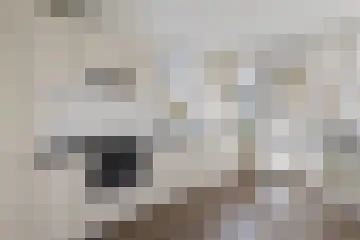 de Beukenhof 34 Raalte thumbnail 13