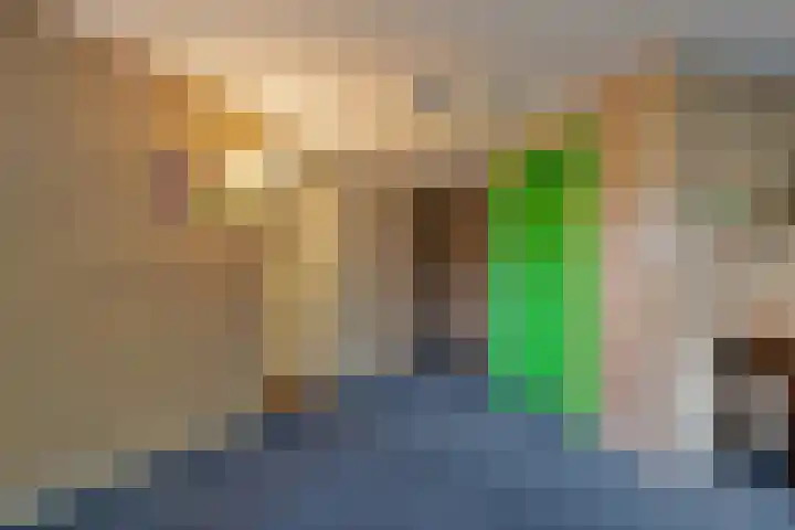 de Beukenhof 34 Raalte thumbnail 27