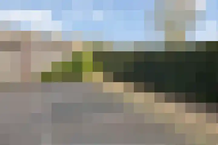 de Beukenhof 34 Raalte thumbnail 30