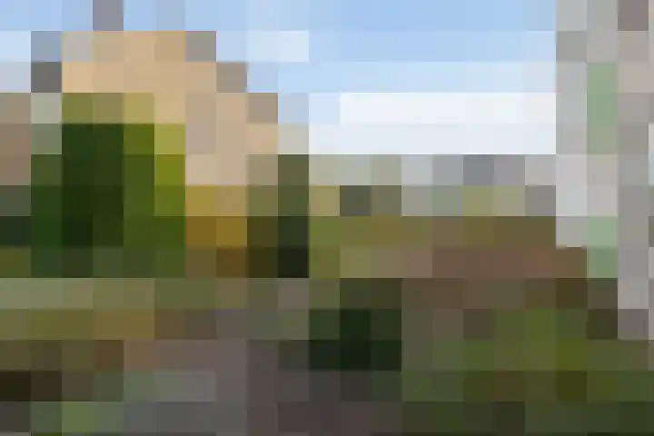 de Beukenhof 34 Raalte thumbnail 31