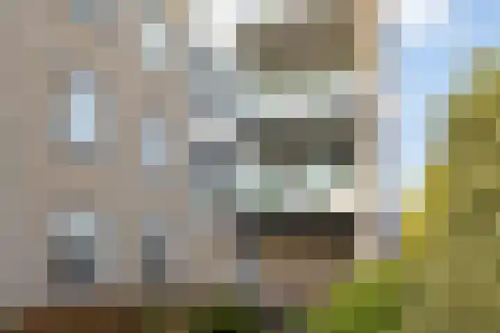 de Beukenhof 34 Raalte thumbnail 32