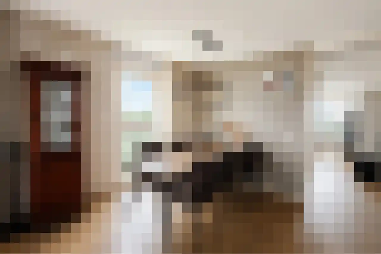 de Beukenhof 42 Raalte thumbnail 11