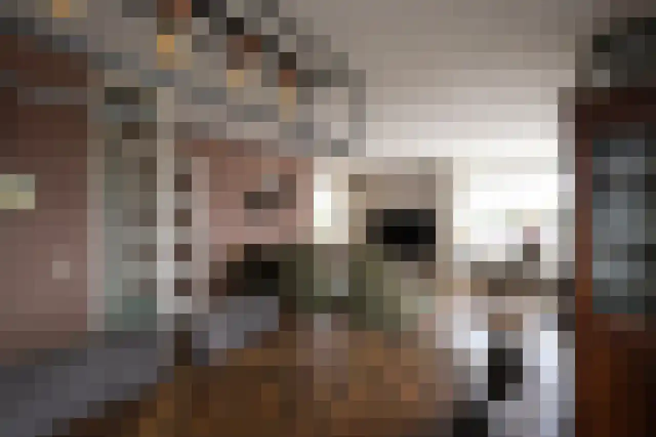 de Beukenhof 42 Raalte thumbnail 12