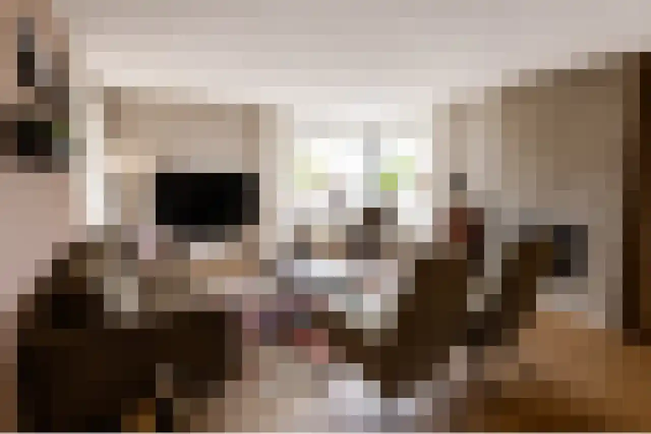 de Beukenhof 42 Raalte thumbnail 4