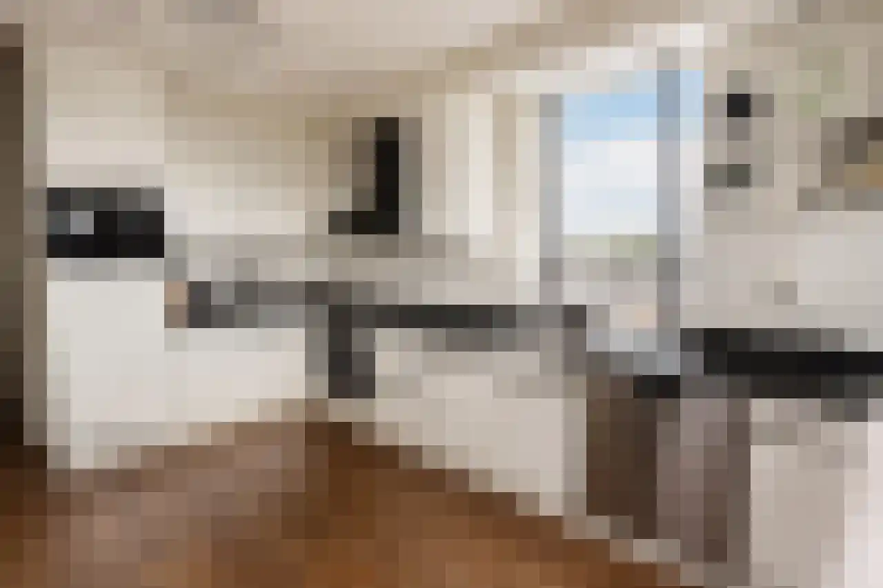 de Beukenhof 42 Raalte thumbnail 8