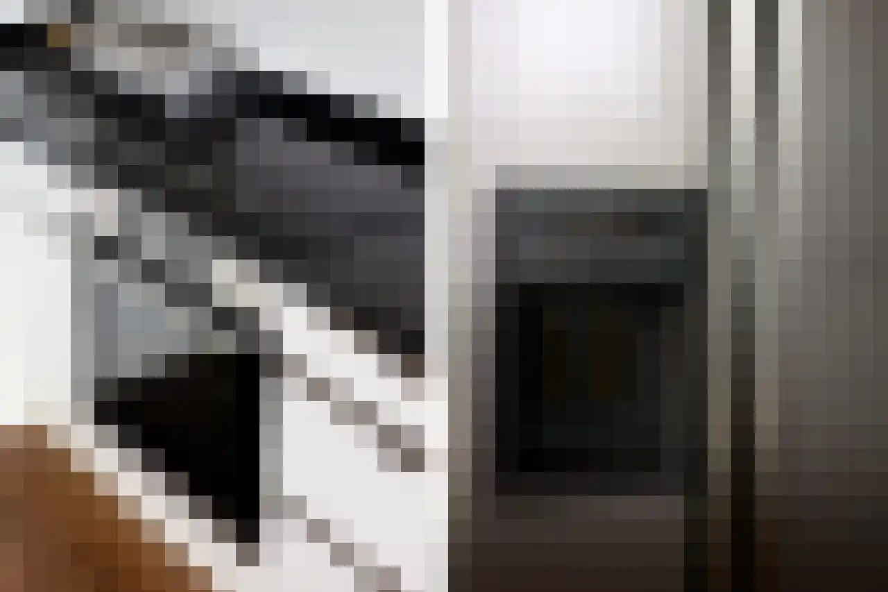 de Beukenhof 42 Raalte thumbnail 9
