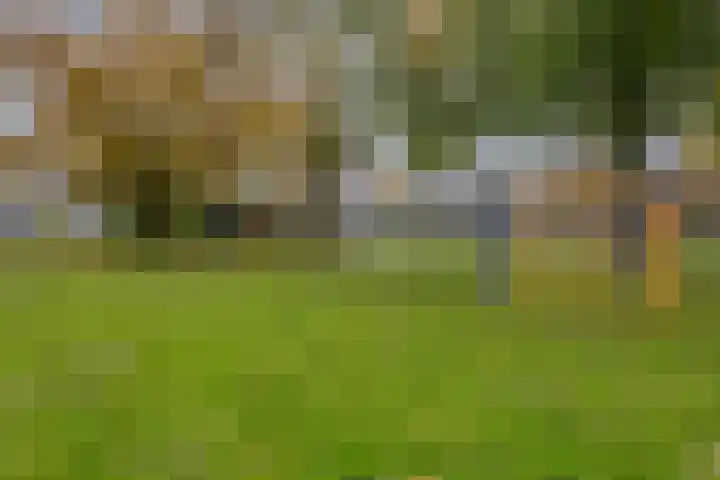De Beukums 28 Boxtel thumbnail 42