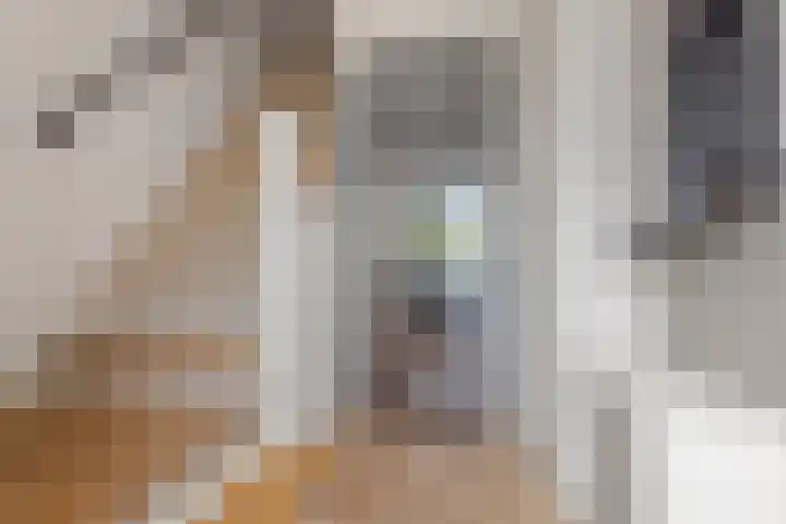De Beukums 62 Boxtel thumbnail 10