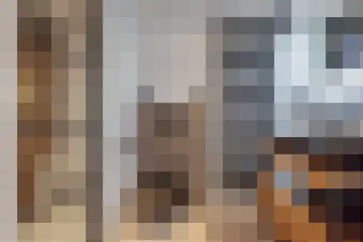 De Beukums 62 Boxtel thumbnail 4