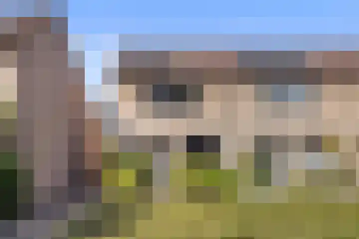 De Beukums 62 Boxtel thumbnail 6