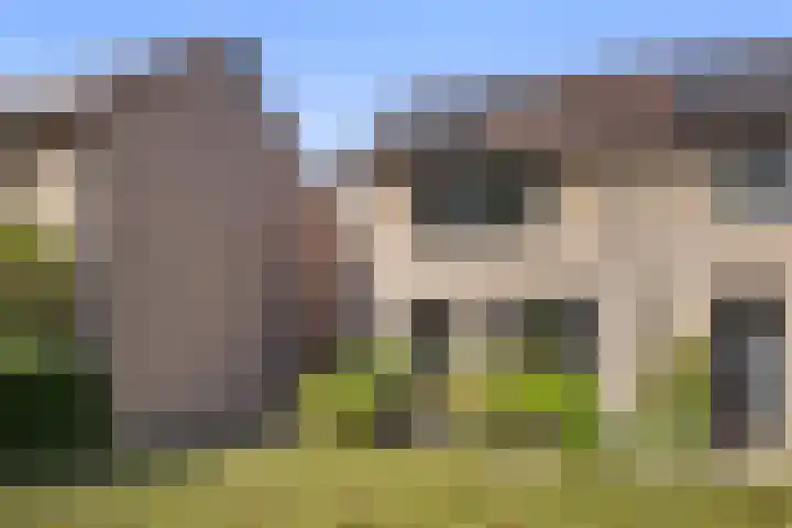De Beukums 62 Boxtel thumbnail 7