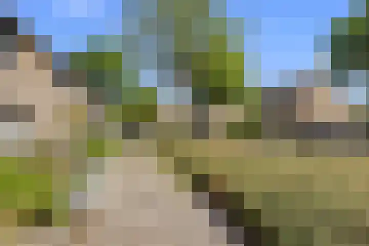 De Beukums 62 Boxtel thumbnail 8