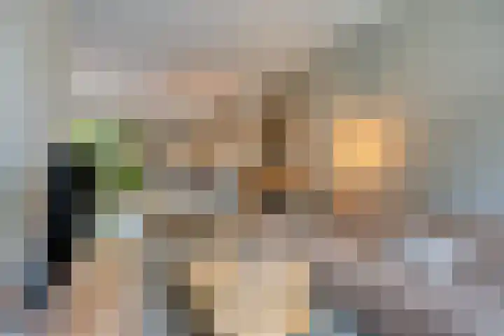 De Beukums 68 Boxtel thumbnail 11