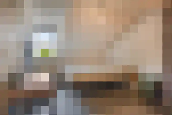 De Beukums 68 Boxtel thumbnail 19