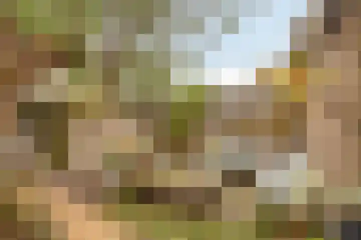 De Beukums 68 Boxtel thumbnail 29