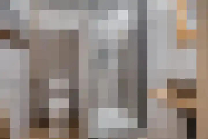 De Beukums 68 Boxtel thumbnail 4