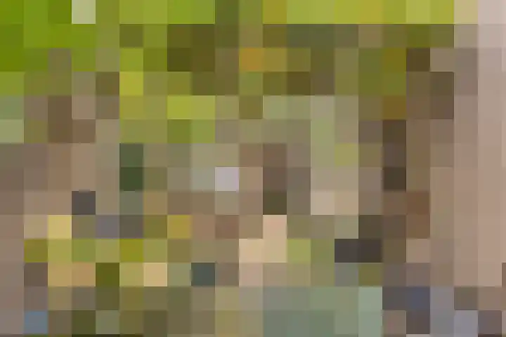 De Beukums 68 Boxtel thumbnail 5