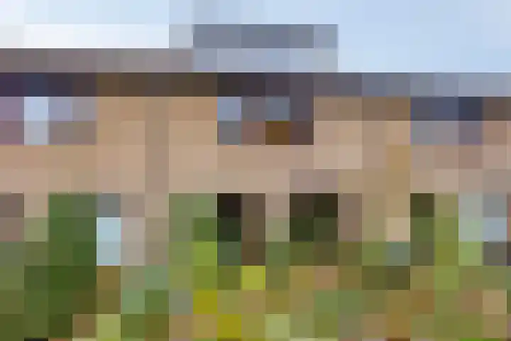 De Beukums 68 Boxtel thumbnail 6