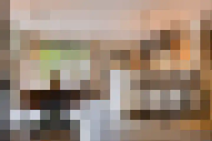 De Beukums 68 Boxtel thumbnail 9