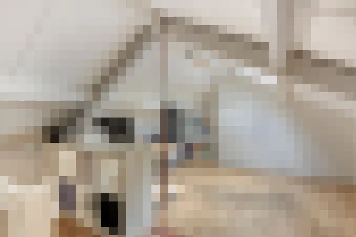 De Beukums 92 Boxtel thumbnail 30