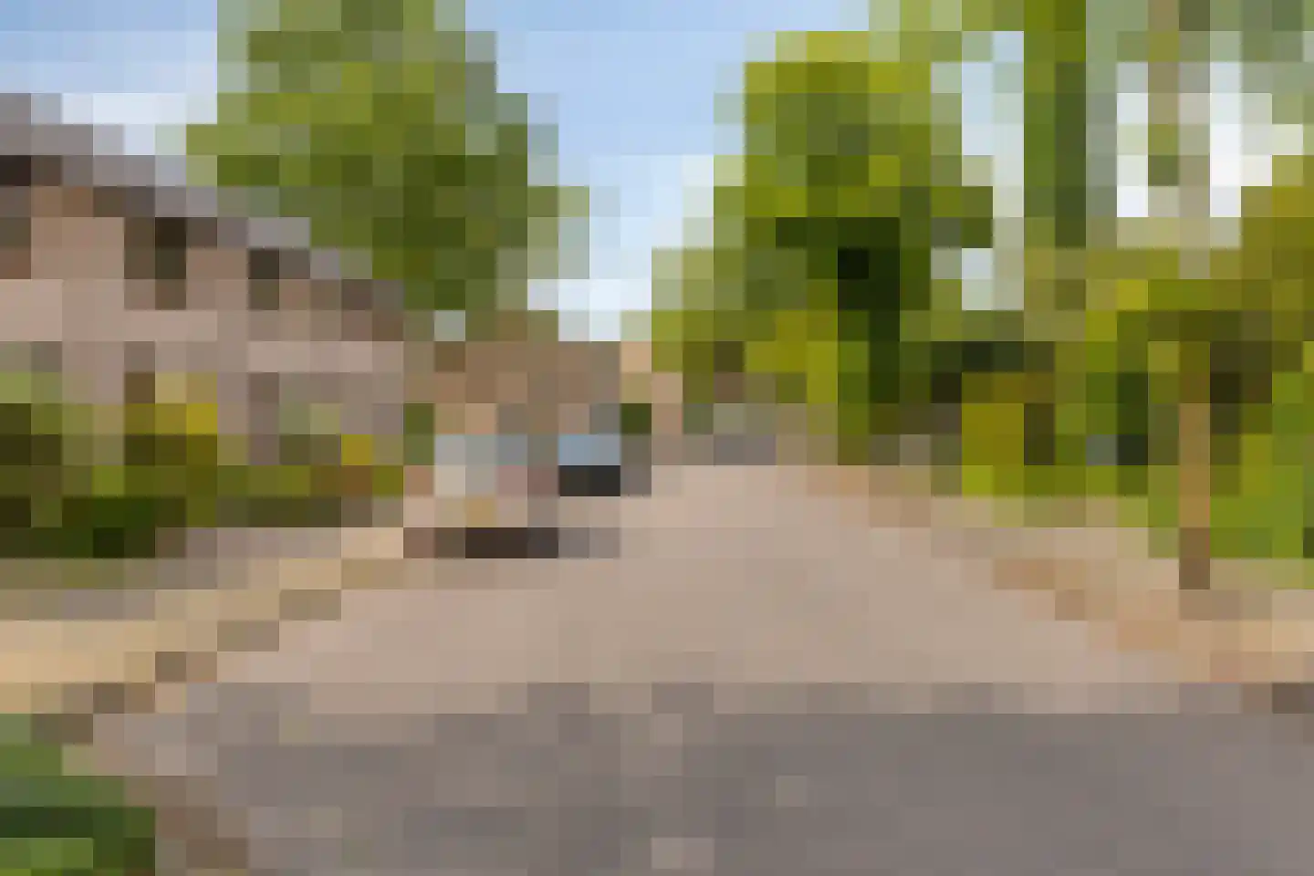 De Beukums 92 Boxtel thumbnail 39